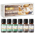 EUQEE 6PCS Aromatherapy Fragrance Oil Gift Set Coffee Fruit Series Essential Oils 10ml Strawberry Cherry Pumpkin Pie Leather