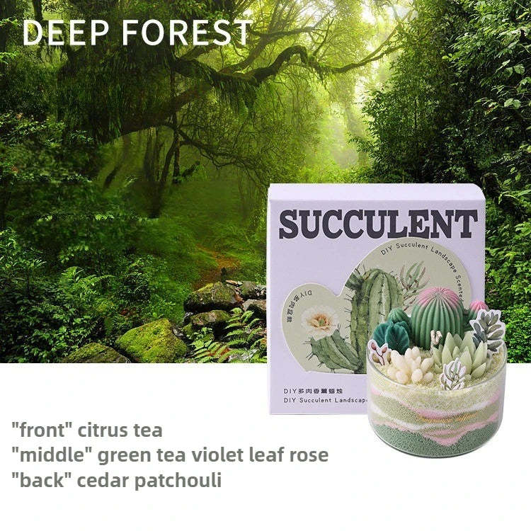 1PC DIY Scented Candles Succulent Fragrance Indoor Plants Cactus Sand Painting Handmade Wedding Souvenir Home Decoration