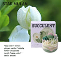 1PC DIY Scented Candles Succulent Fragrance Indoor Plants Cactus Sand Painting Handmade Wedding Souvenir Home Decoration