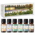 EUQEE 6PCS Aromatherapy Fragrance Oil Gift Set Coffee Fruit Series Essential Oils 10ml Strawberry Cherry Pumpkin Pie Leather