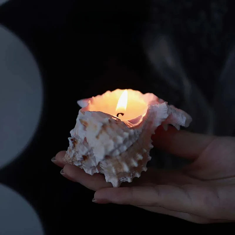 Handmade Conch Scented Candle - Home Decoration Ornaments For Bedroom, Living Room Tabletop Holiday Gifts