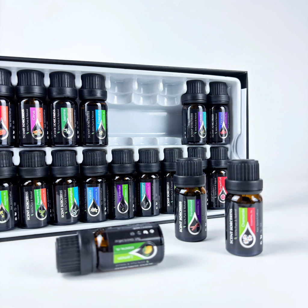 Christmas Essential Oil Set Lavender Eucalyptus Sweet Orange Lemon 20Pcs/Set Massage Spa Aroma Fragrance Oil Humidifier Diffuse