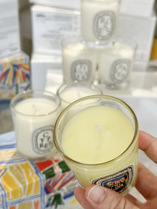 Aromatherapy Candle Natural Plant Scented Candles French Fragrance Fresh And Elegant Lasting Air Companion Aroma Gift