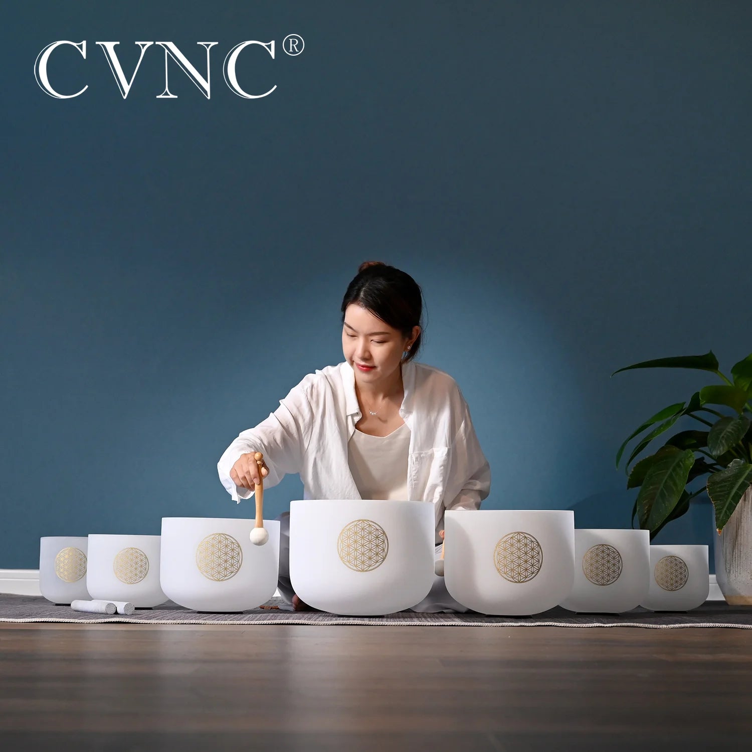 CVNC 6-12" Flower of Life pattern Frosted Quartz Crystal Singing Bowls Set  7Pcs Chakra for Sound Healing with Bags