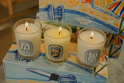 Aromatherapy Candle Natural Plant Scented Candles French Fragrance Fresh And Elegant Lasting Air Companion Aroma Gift