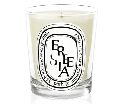 Aromatherapy Candle Natural Plant Scented Candles French Fragrance Fresh And Elegant Lasting Air Companion Aroma Gift