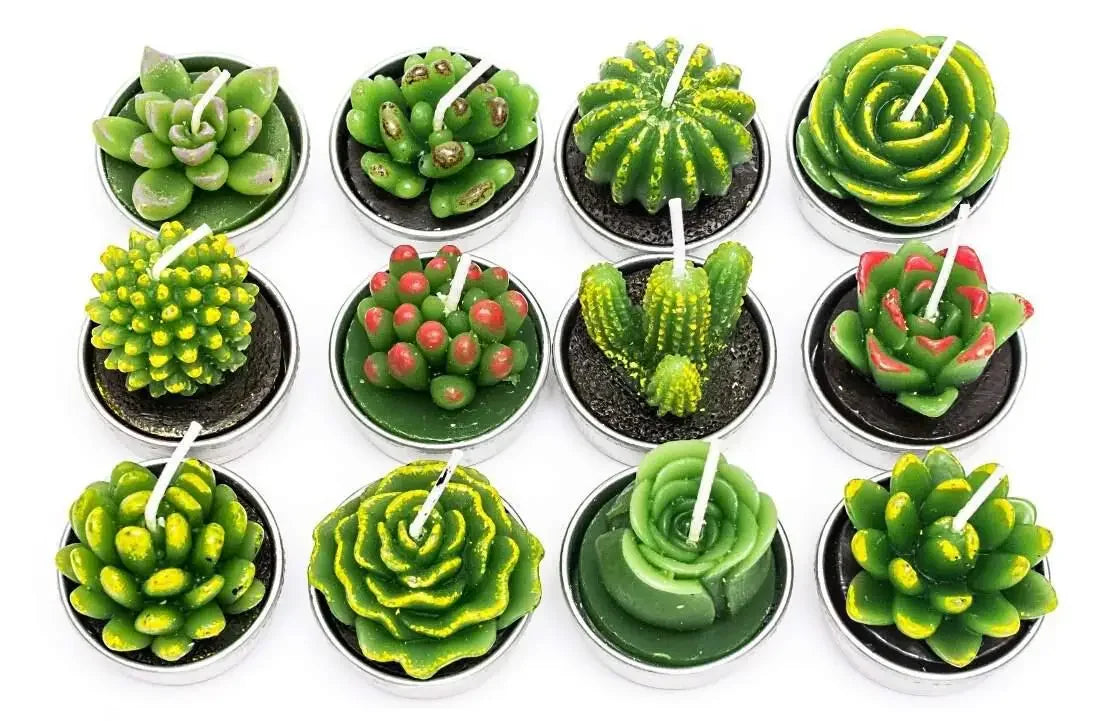 12pcs Mini Cactus Candles Succulent Greenery Candles Flameless Tea Light Candles Suitable for Party Wedding Home Decoration