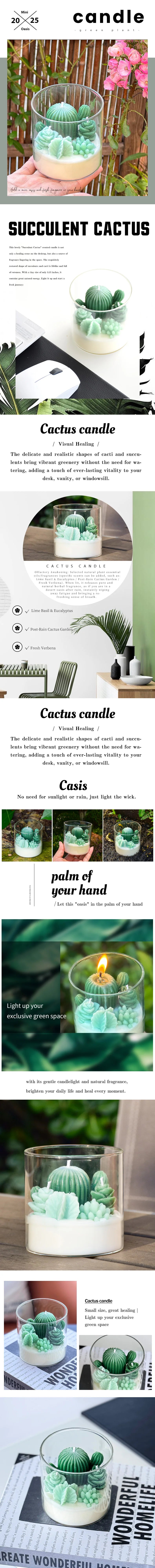 Succulent Cactus Candle | Aromatherapy Succulent Candle | Cactus Shaped Candle | Succulent Decor Candle | Green Cactus Candle |