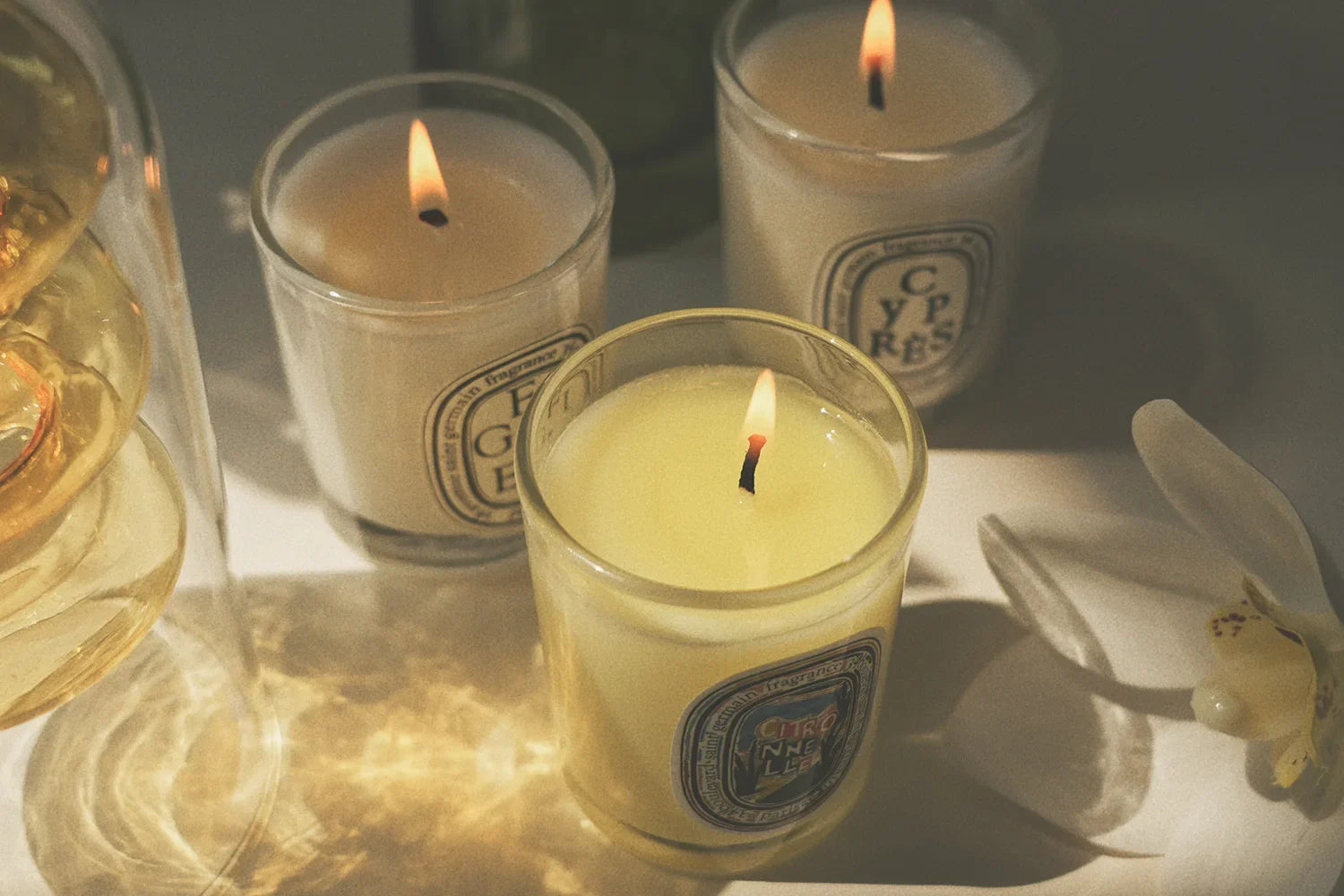Aromatherapy Candle Natural Plant Scented Candles French Fragrance Fresh And Elegant Lasting Air Companion Aroma Gift